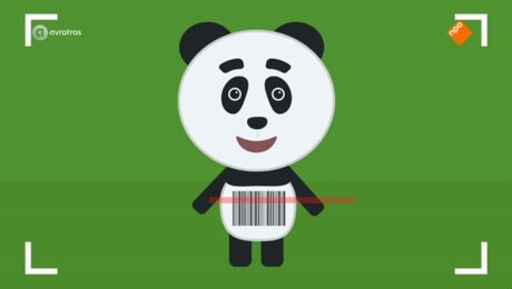 Het Pandajournaal
